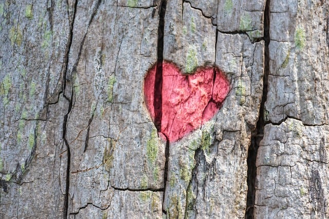 Enhancing Customer Loyalty Through Effective CRM Strategies